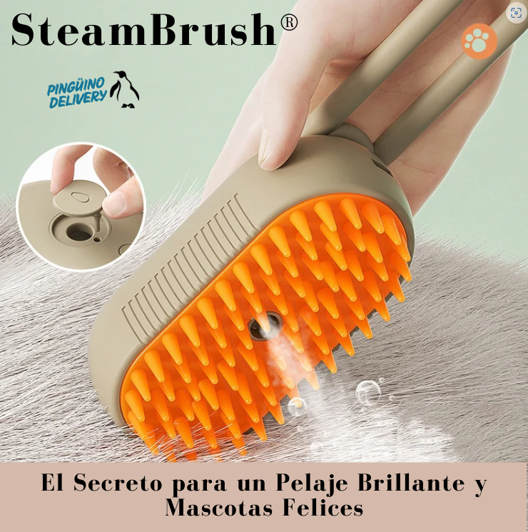 SteamBrush®