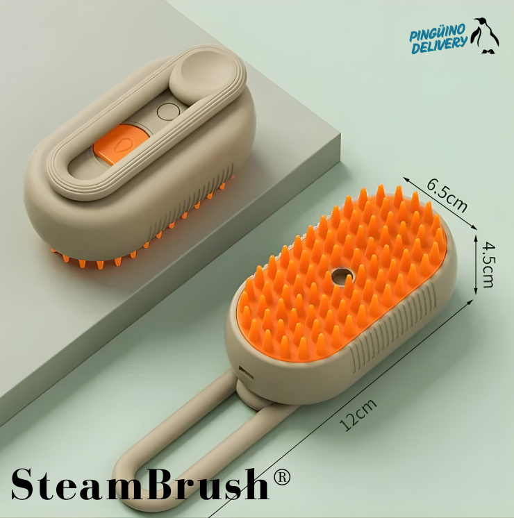 SteamBrush®