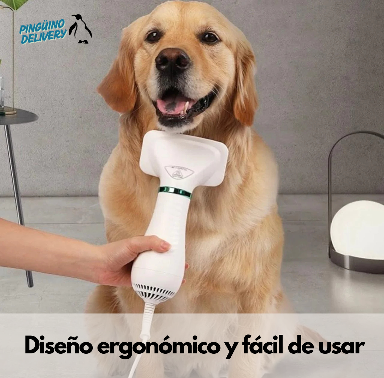 🐾 Cepillo y Secador de mascotas 2 en 1 – Cuidado con amor y sin estrés 💚