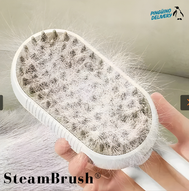 SteamBrush®