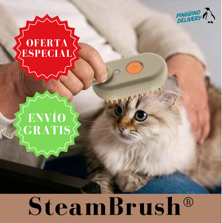 SteamBrush®